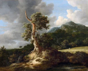 Berglandschaft mit knorriger Eiche vor einem Kornfeld
